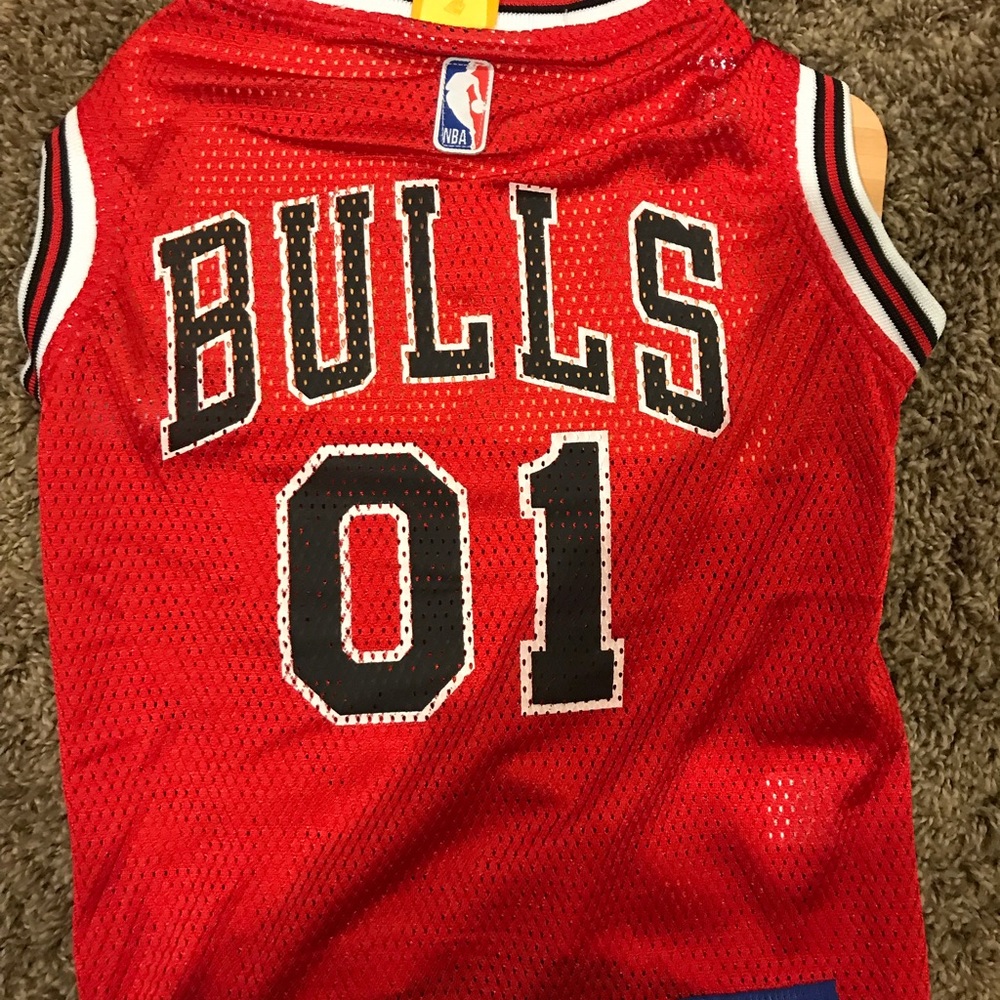 Chicago Bulls Pet Jersey